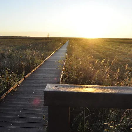 Hétvégi ház Biebrza Dom Pod Dobra Reka *