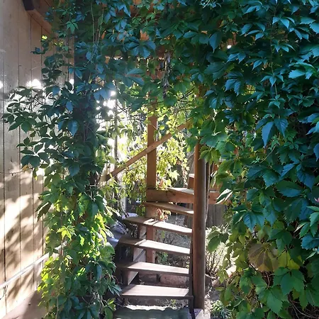 Hétvégi ház Biebrza Dom Pod Dobra Reka