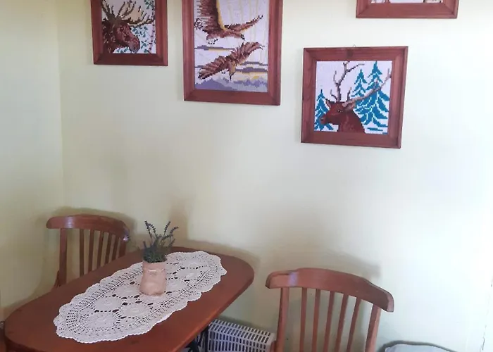 Country house Biebrza Dom Pod Dobra Reka