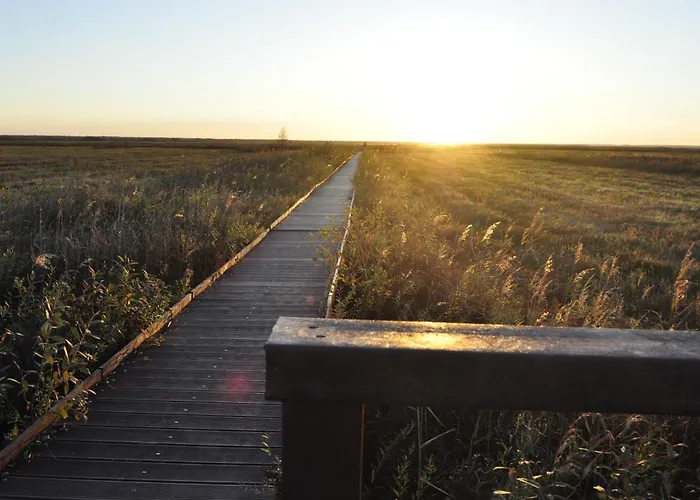 Country house Biebrza Dom Pod Dobra Reka *