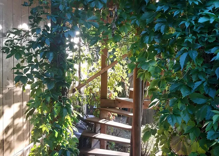 Country house Biebrza Dom Pod Dobra Reka